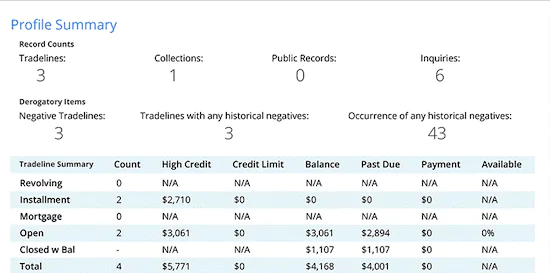 Credit report profile summary - The Smart Choice for Tenant Screening  - The Smart Choice for Tenant Screening 